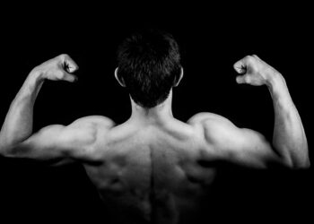 Exercícios para Costa de fisiculturista | Imagem ilustrativa capa do artigo do Pomilu: O Treino de Costas do Arnold Schwarzenegger - Aprenda 9 exercícios para efetivos | Fonte: Pexels fotografo Pixabay