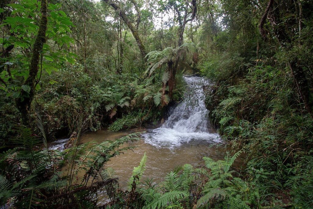 Imagem do topico do post CAMPOS DO JORDÃO - O melhor roteiro de 3 dias com ótimas atrações - Confira | Pomelu